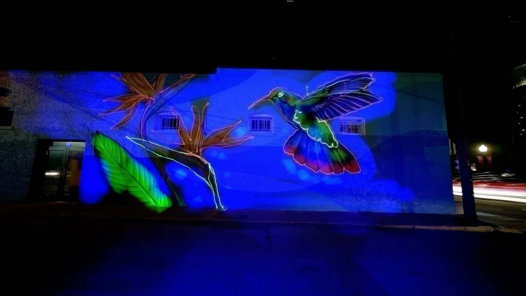 Bird light painting made with TimeLapsed